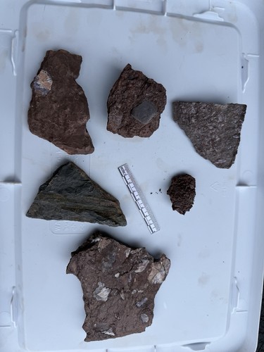 Devonian catskill ecosystem - devonian,