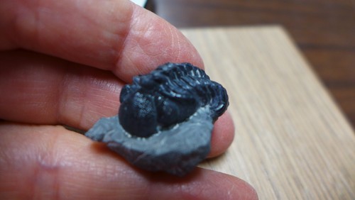 Geological enterprises - geological,